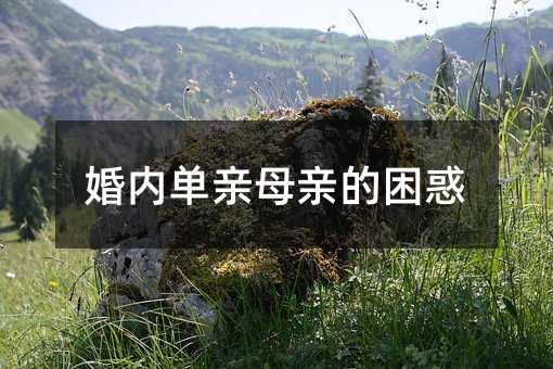 婚內單親母親的困惑