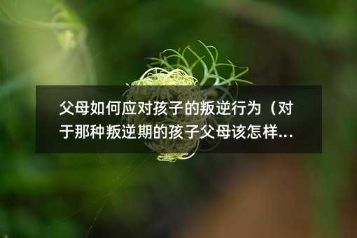 父母如何應對孩子的叛逆行為(對于那種叛逆期的孩子父母該怎樣做)