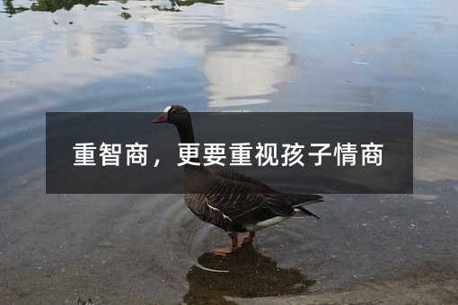 ̣Ҫҕ