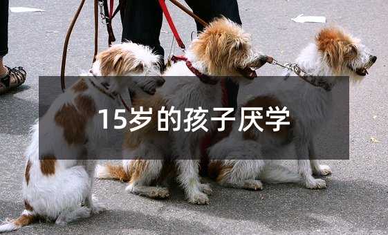 15歲的孩子厭學