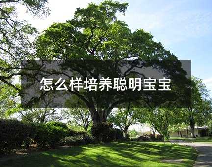 怎么樣培養聰明寶寶