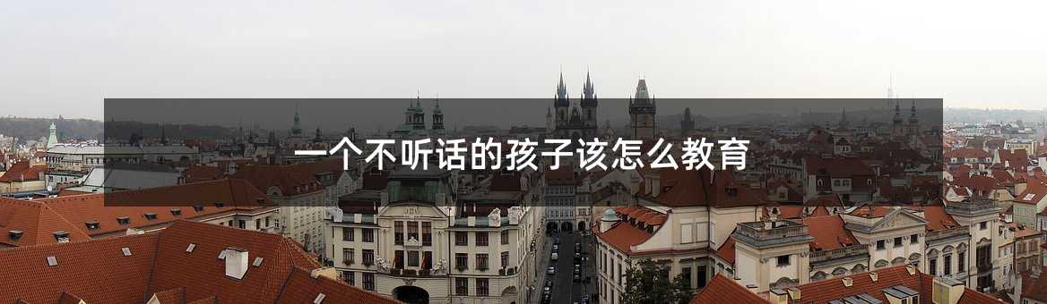 一個不聽話的孩子該怎么教育