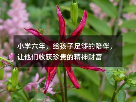 小學六年,給孩子足夠的陪伴,讓他們收獲珍貴的精神財富