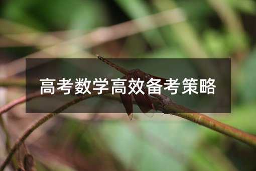 高考數(shù)學高效備考策略