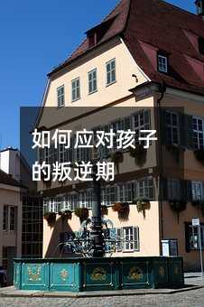 如何應(yīng)對(duì)孩子的叛逆期