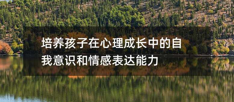 培養(yǎng)孩子在心理成長中的自我意識和情感表達能力
