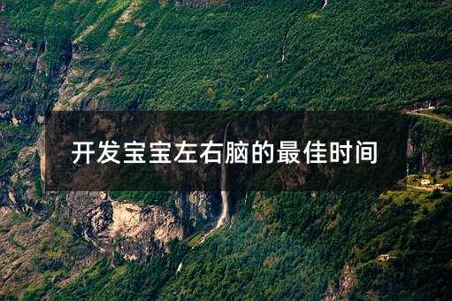 開發寶寶左右腦的最佳時間