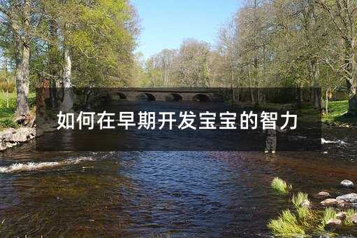 如何在早期開發寶寶的智力