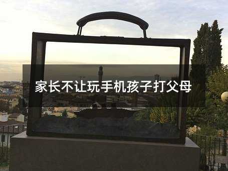 家長(zhǎng)不讓玩手機(jī)孩子打父母