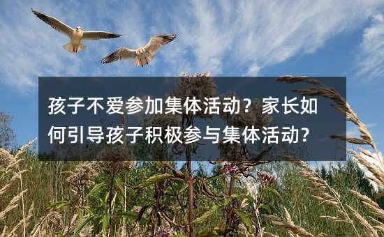 孩子不愛參加集體活動?家長如何引導孩子積極參與集體活動?