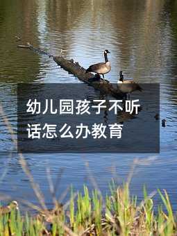 幼兒園孩子不聽話怎么辦教育