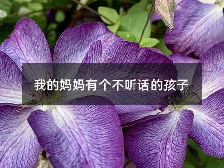 ҵċЂ Ԓĺ