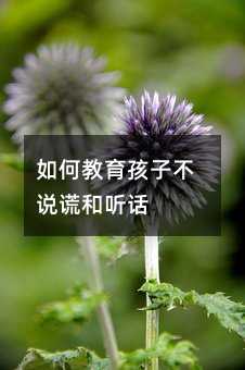 νӲf(shu)e Ԓ
