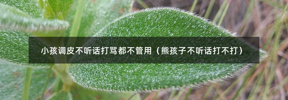 小孩調皮不聽話打罵都不管用(熊孩子不聽話打不打)