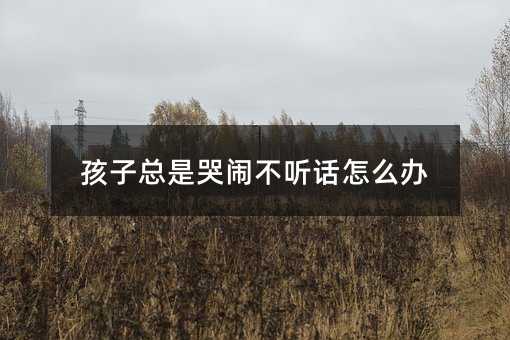 孩子總是哭鬧不聽(tīng)話怎么辦
