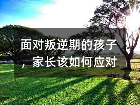 挦ڵĺӣLԓΑ