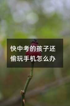 快中考的孩子還偷玩手機怎么辦