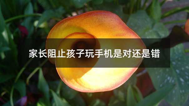 家長阻止孩子玩手機是對還是錯