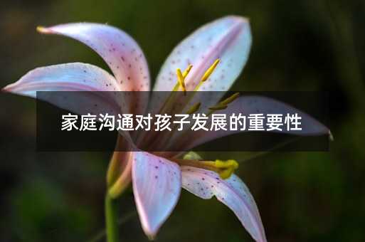 家庭溝通對孩子發(fā)展的重要性