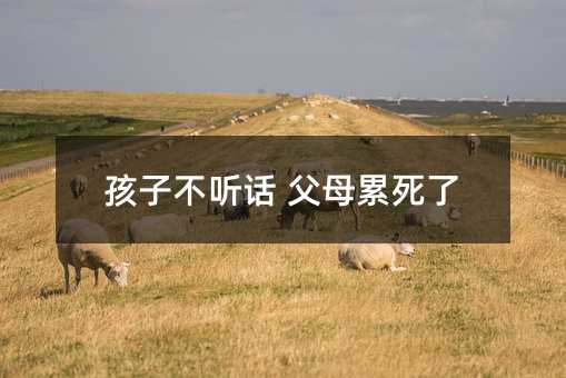 孩子不聽話 父母累死了