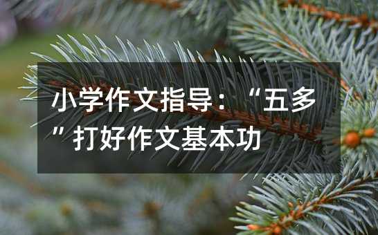 小學作文指導:“五多”打好作文基本功