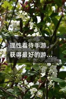 理性看待手游,獲得最好的游戲體驗(yàn)