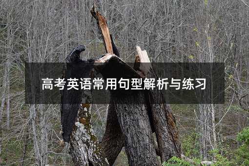 高考英語常用句型解析與練習