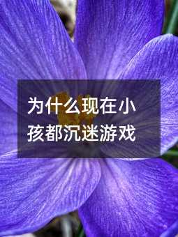 為什么現(xiàn)在小孩都沉迷游戲