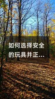 如何選擇安全的玩具并正確教育孩子使用