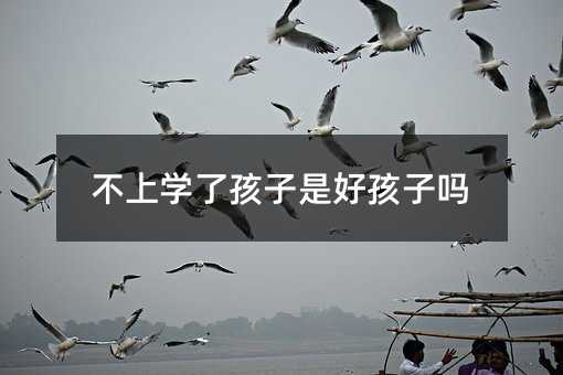不上學了孩子是好孩子嗎