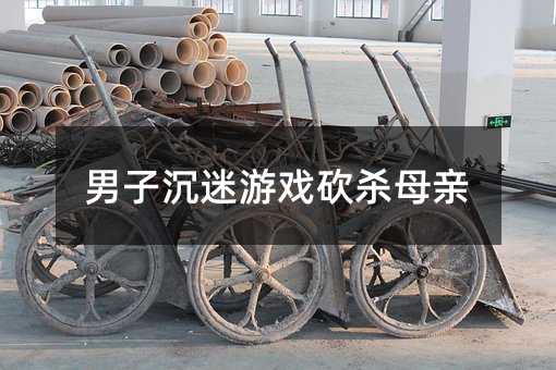 男子沉迷游戲砍殺母親