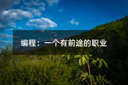 編程:一個有前途的職業