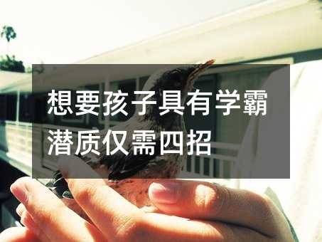 想要孩子具有學霸潛質僅需四招