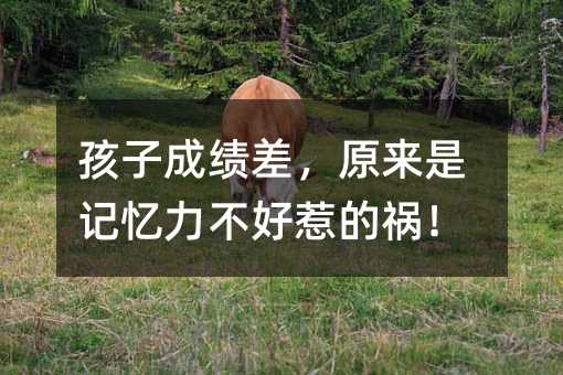 ӳɿԭӛǵĵ