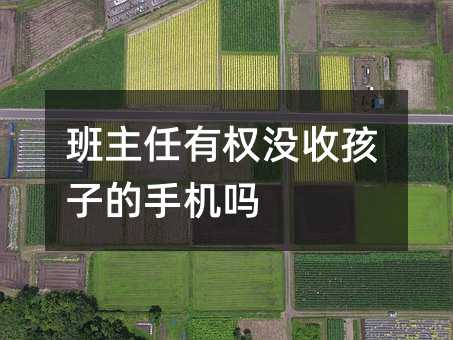 班主任有權沒收孩子的手機嗎