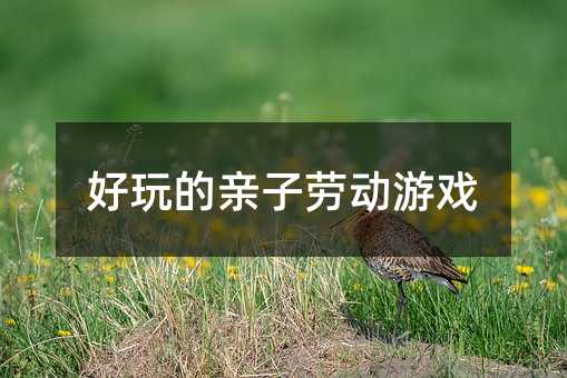 好玩的親子勞動(dòng)游戲