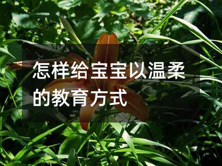 怎樣給寶寶以溫柔的教育方式