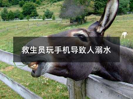 救生員玩手機(jī)導(dǎo)致人溺水