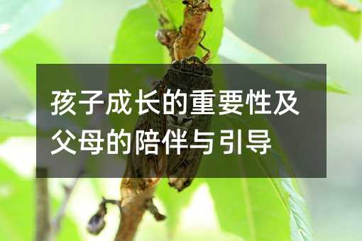 孩子成長的重要性及父母的陪伴與引導