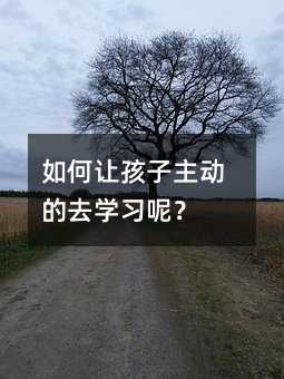 如何讓孩子主動(dòng)的去學(xué)習(xí)呢?