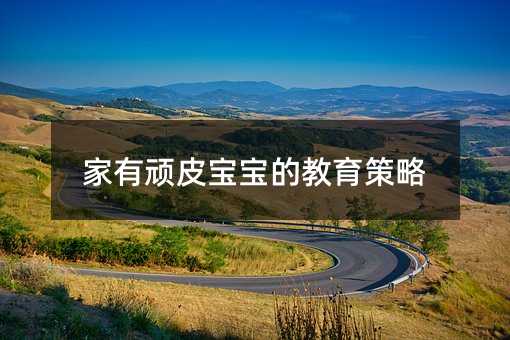 家有頑皮寶寶的教育策略