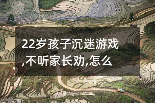 22歲孩子沉迷游戲,不聽家長勸,怎么辦