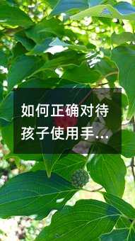 如何正確對待孩子使用手機的問題?