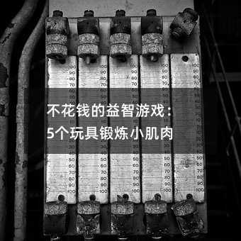不花錢的益智游戲:5個玩具鍛煉小肌肉