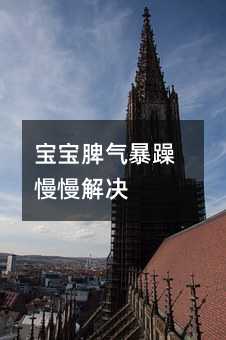 寶寶脾氣暴躁慢慢解決