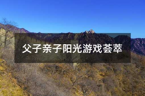 父子親子陽光游戲薈萃