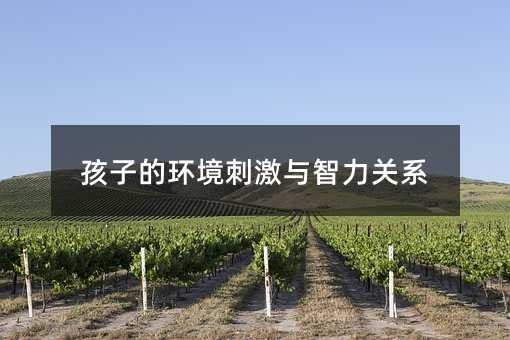孩子的環(huán)境刺激與智力關(guān)系