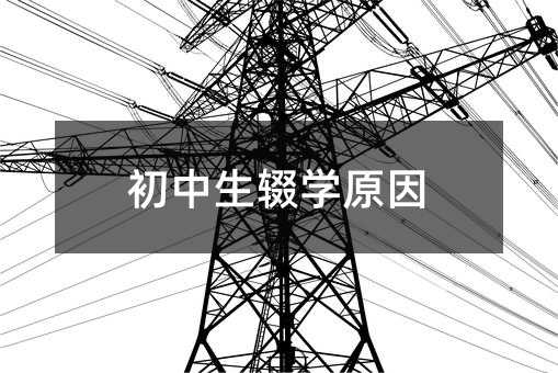 初中生輟學原因