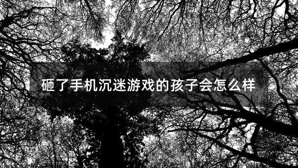 砸了手機(jī)沉迷游戲的孩子會(huì)怎么樣