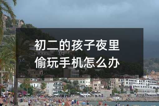 初二的孩子夜里偷玩手機(jī)怎么辦